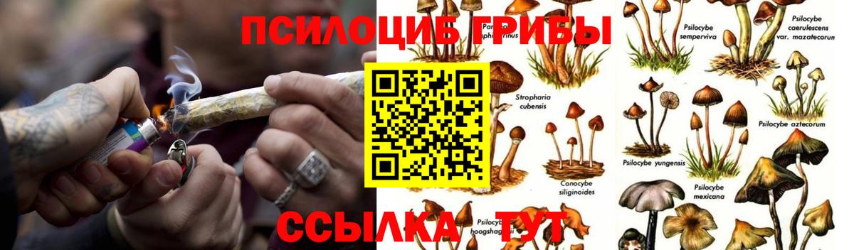 Галлюциногенные грибы GOLDEN TEACHER  Вход с VPN  Галлюциногенные грибы ЛСД  Всеволожск 