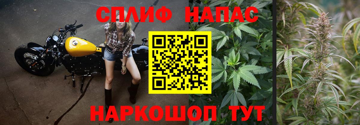 Каннабис VHQ Всеволожск